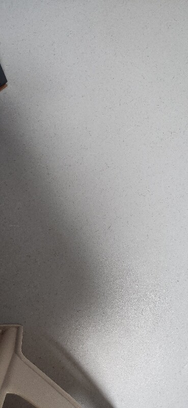 쏘가리