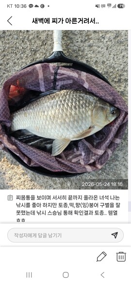 테슷