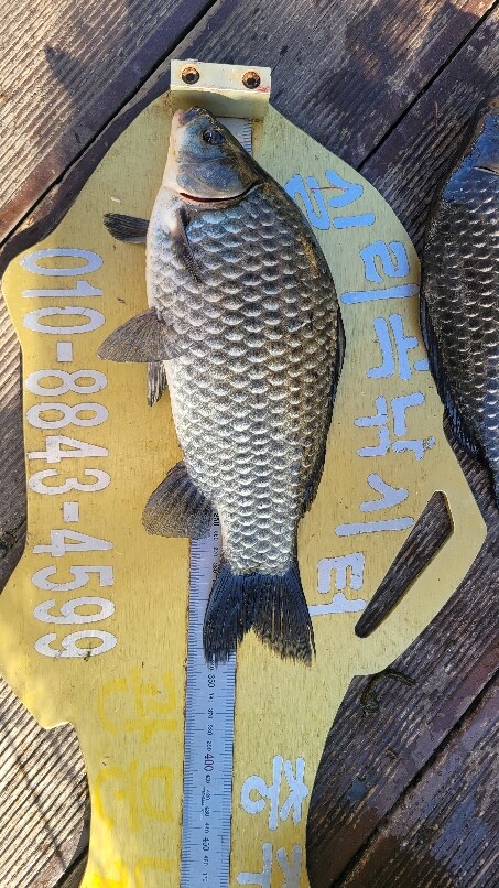 테스트1