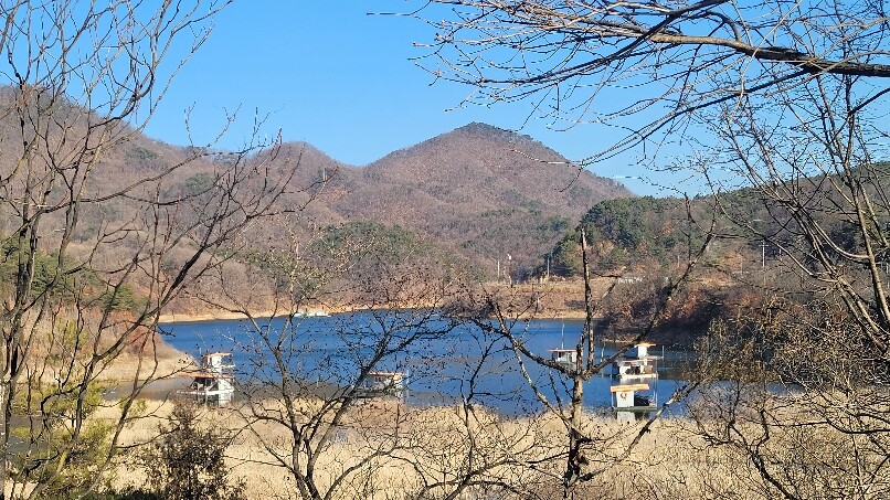 테스트1