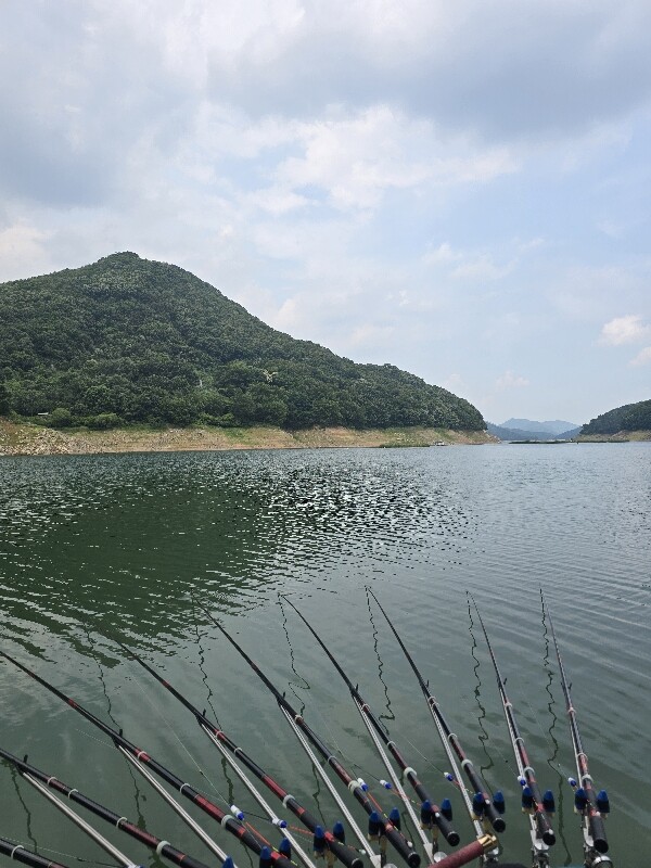 테스트6