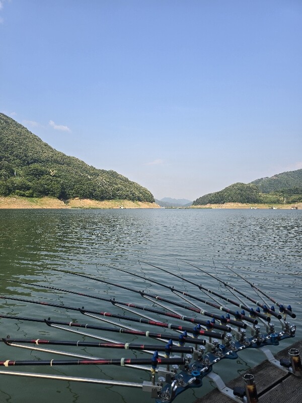 목벌테스트